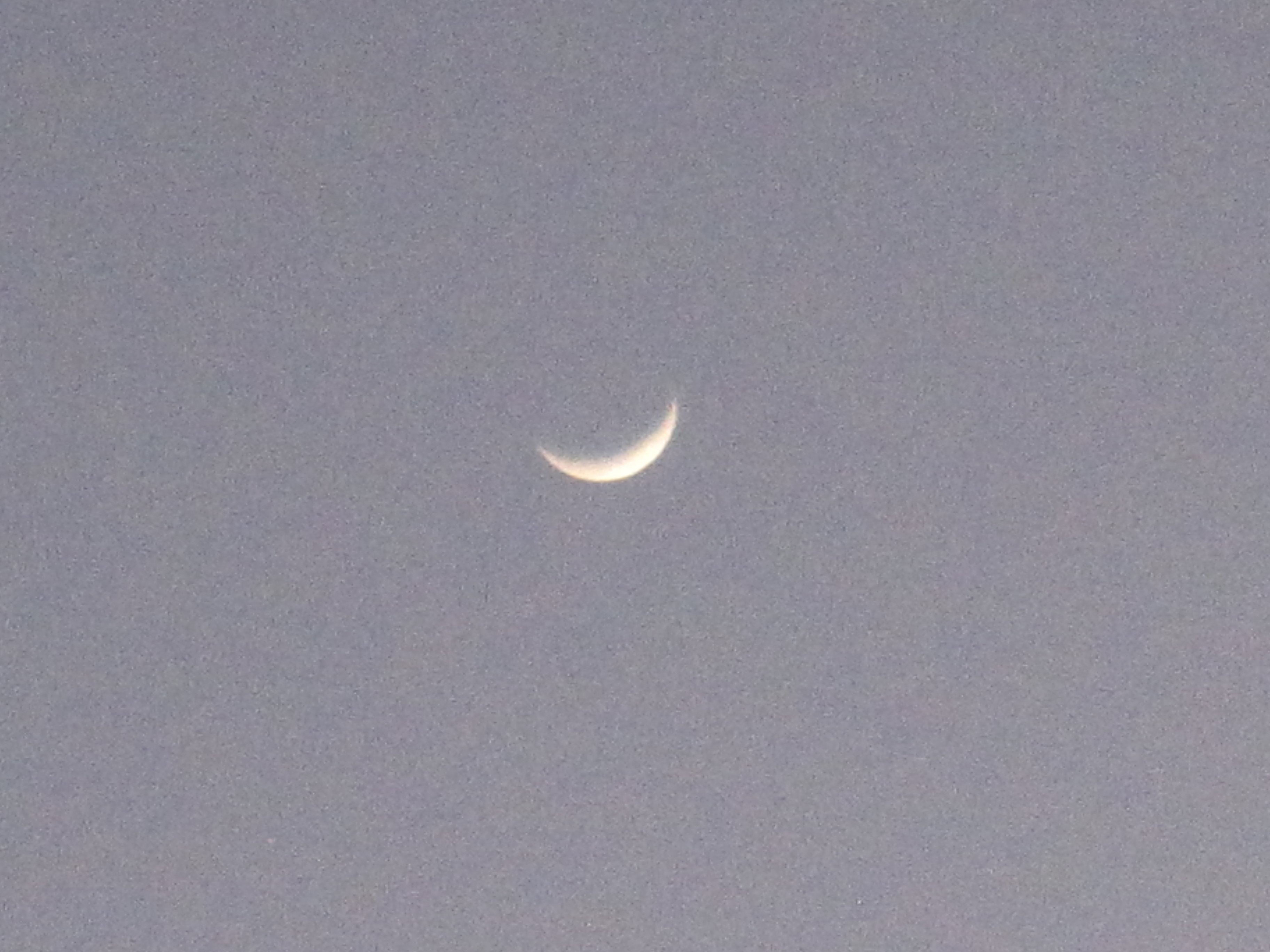 a crescent moon on a purplish sky